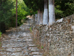 Κάντε κλικ για μεγέθυνση της φωτογραφίας